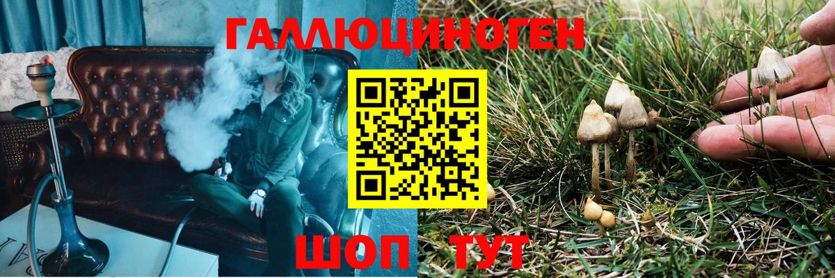 Псилоцибиновые грибы Cubensis  где продают   Ноябрьск  Вход с VPN 